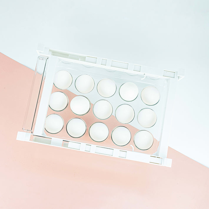 Icon Best Comprehensive Fridge Egg Storage Drawer