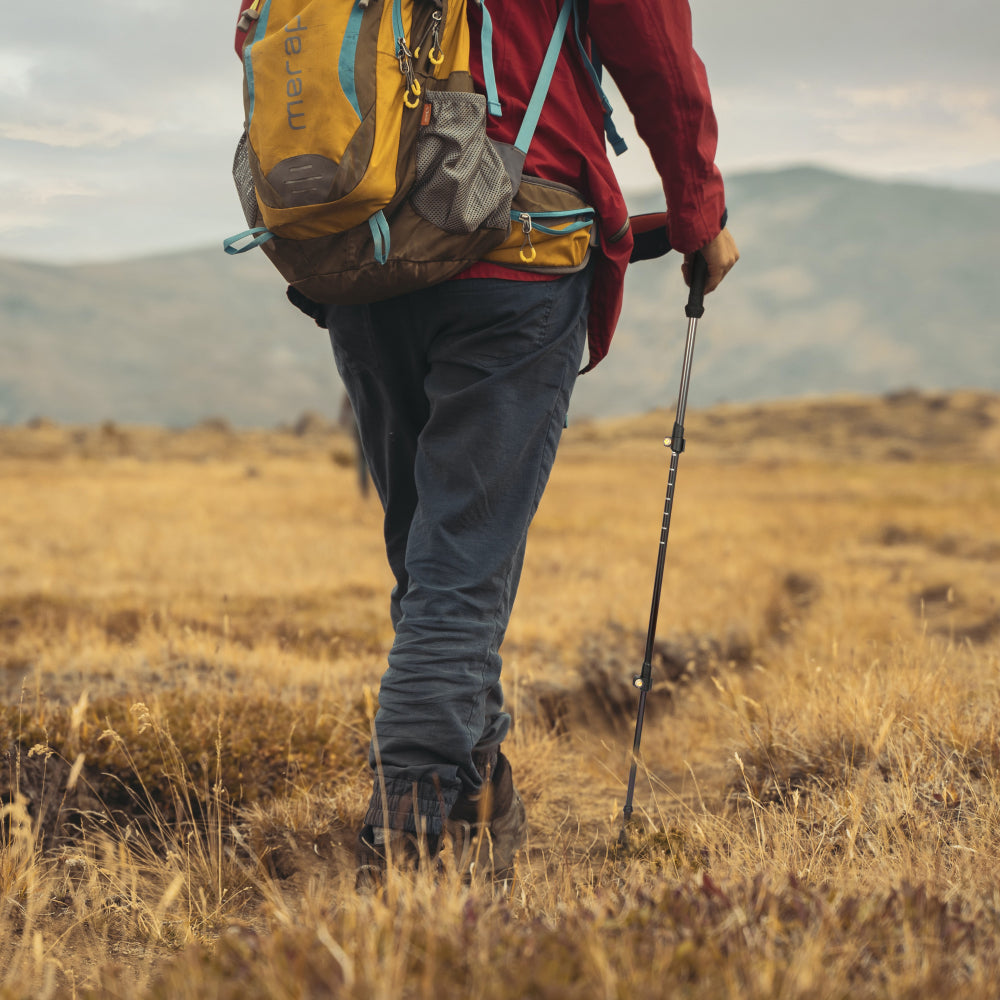 Icon Best 2 Pack Carbon Fiber Quick Lock Trekking Poles