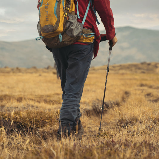 Icon Best 2 Pack Carbon Fiber Quick Lock Trekking Poles