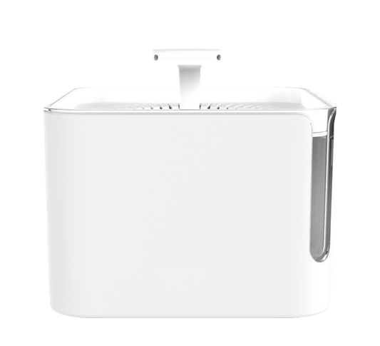 Distributeur automatique d 'eau pour animaux de compagnie