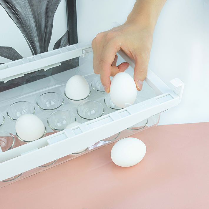 Icon Best Comprehensive Fridge Egg Storage Drawer