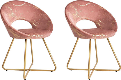 Velvet and Metal Modern Dining Chair