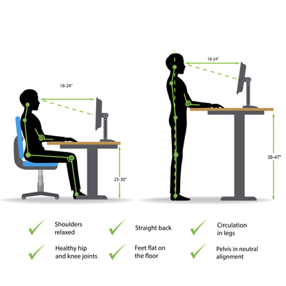 Rectangular Electric Height Adjustable Standing Desk